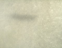 Crystal White Veiné