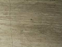 Wooden Vein